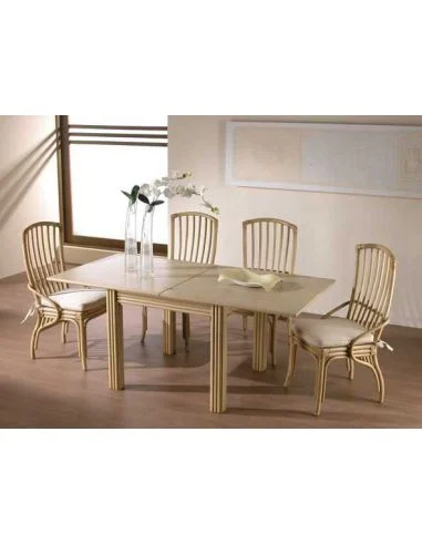 Sedia Altea in Rattan con cuscino