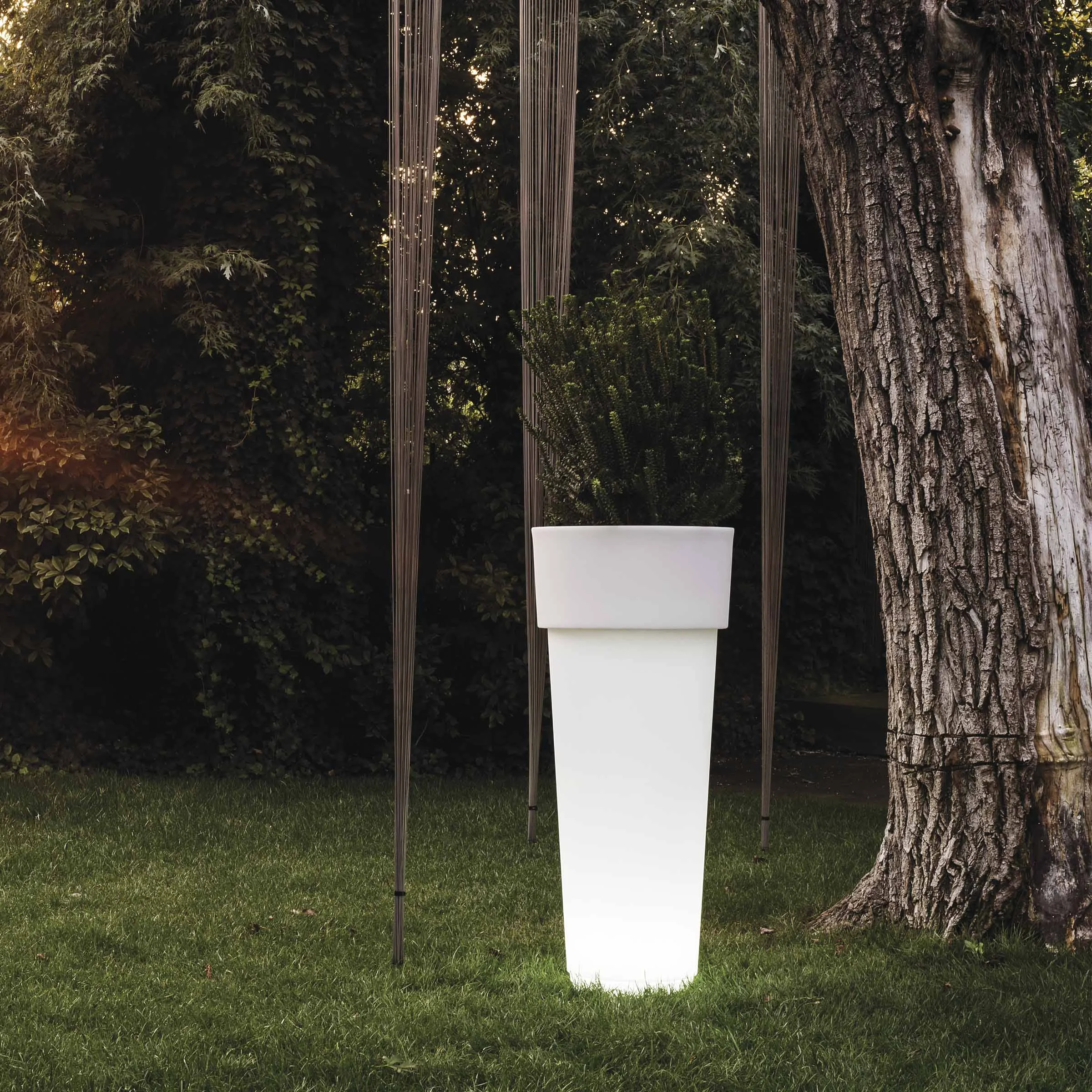 Vaso MARCANTONIO con Luce di Nat Wave per Serralunga