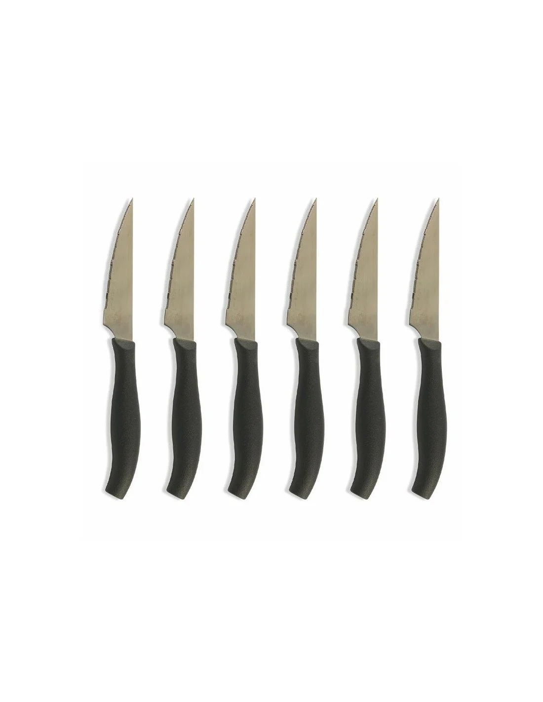 SET 6 COLTELLI TAVOLA 21CM LAMA LARGA DENTIPICCOLI