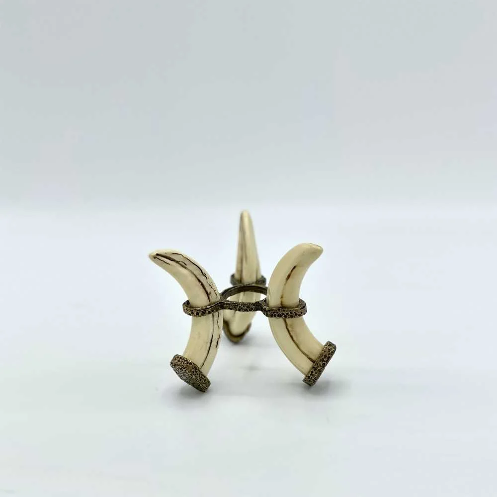 Supporto Uovo di Struzzo con Zanne in Resina 25x15 cm