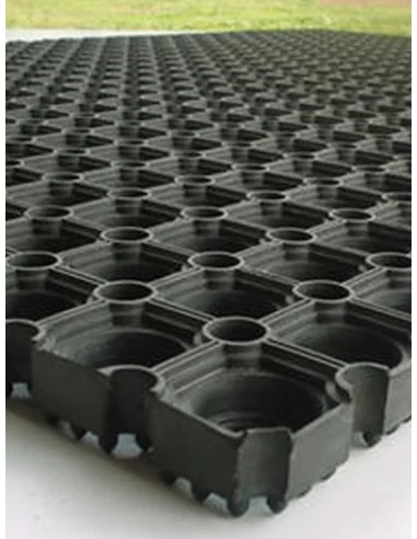 ZERBINO DOMINO
